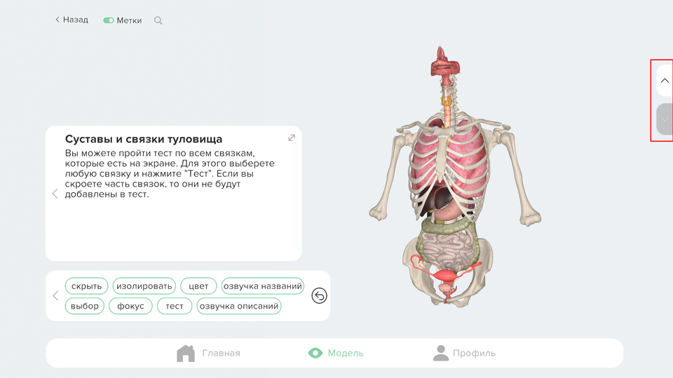 Layer navigation